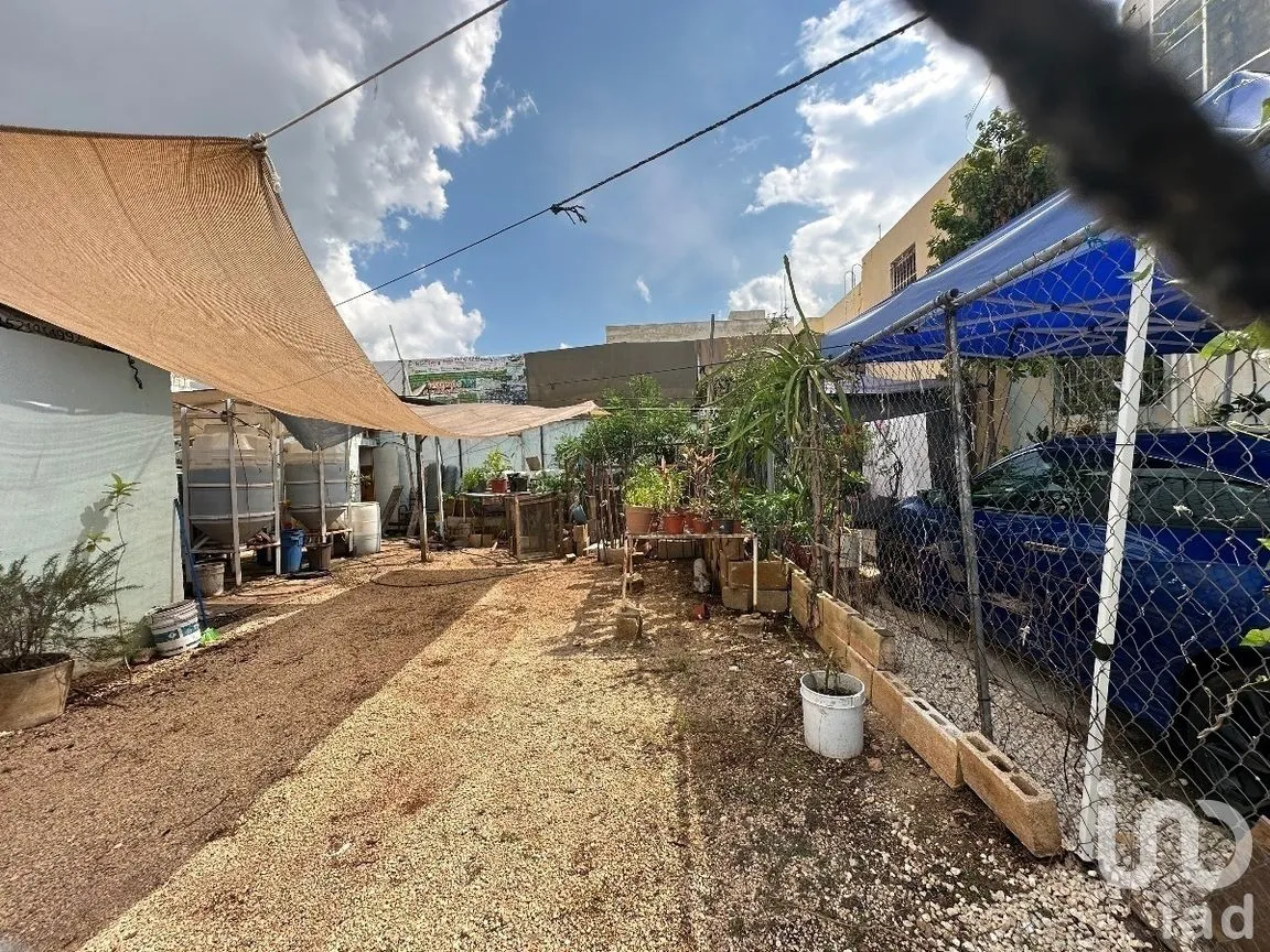 Casa en Venta en Caucel, Mérida, Yucatán | NEX-273888 | iad México | Foto 4 de 6