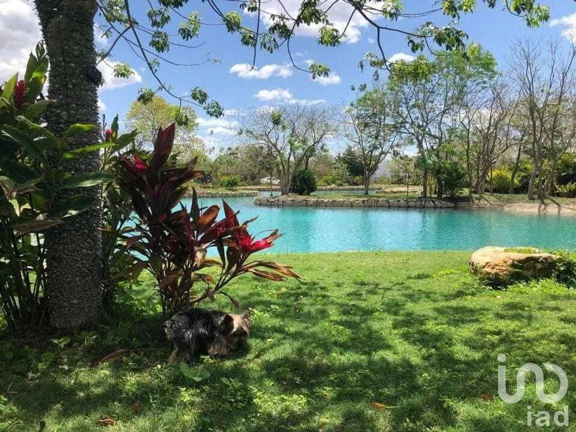 Casa en Venta en Santa María Yaxché, Mérida, Yucatán | NEX-273931 | iad México | Foto 8 de 12