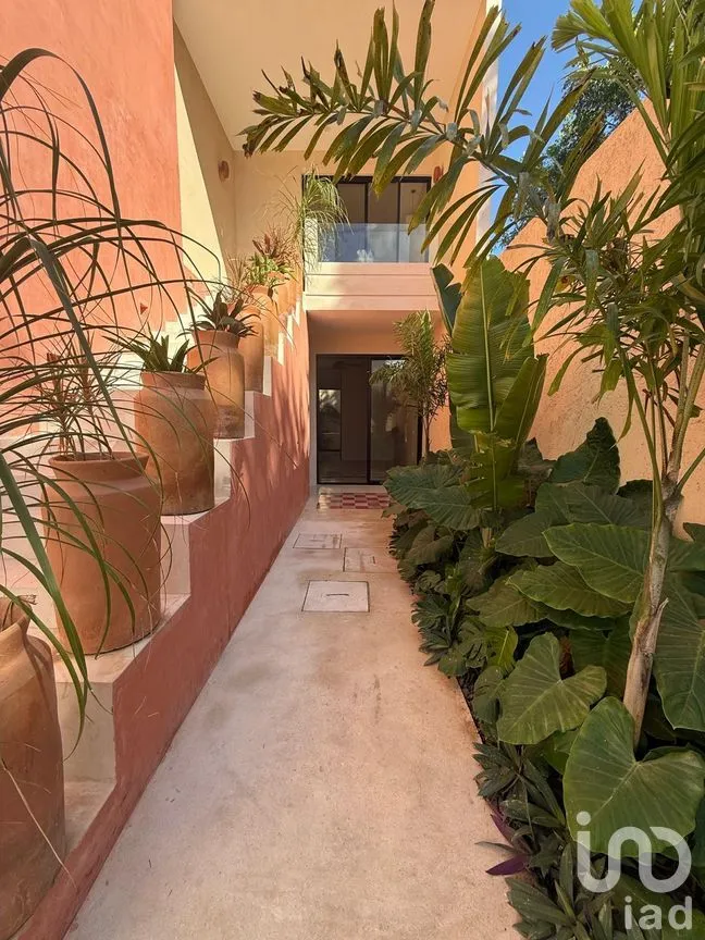 Casa en Venta en Mérida Centro, Mérida, Yucatán | NEX-273964 | iad México | Foto 3 de 19
