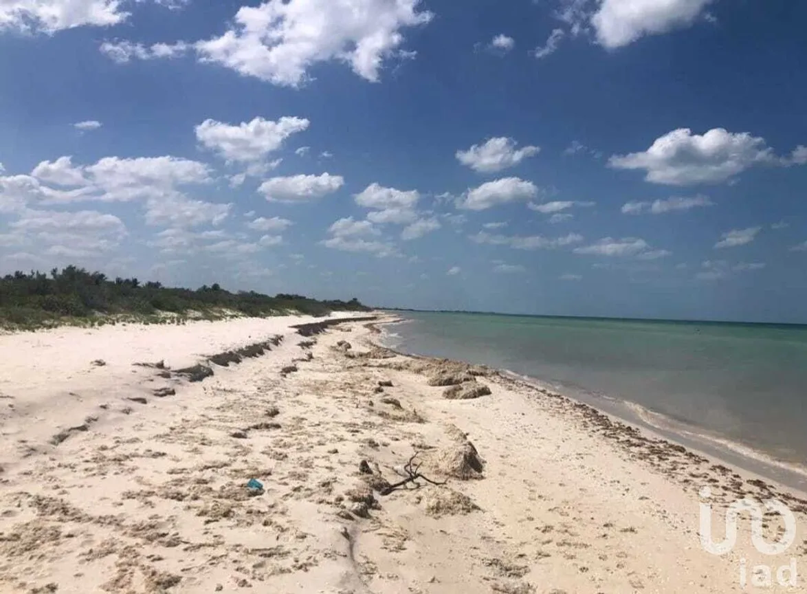 Terreno en Venta en Sisal, Hunucmá, Yucatán | NEX-273970 | iad México | Foto 2 de 3