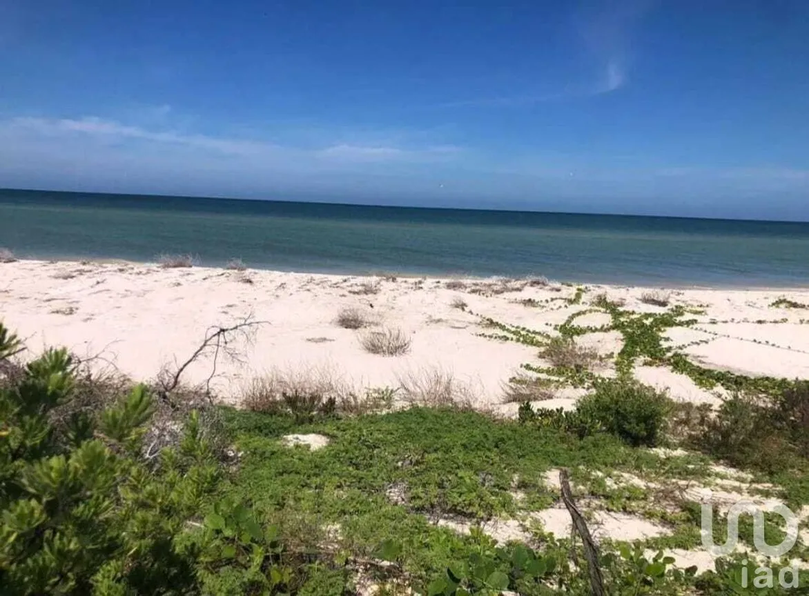 Terreno en Venta en Sisal, Hunucmá, Yucatán | NEX-273970 | iad México | Foto 3 de 3