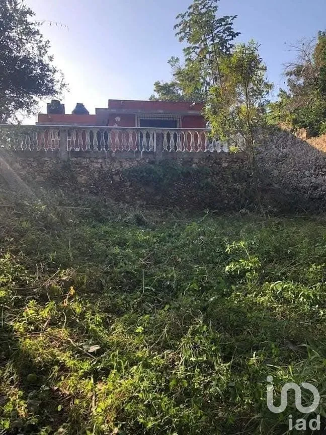 Casa en Venta en Peto Centro, Peto, Yucatán | NEX-273985 | iad México | Foto 14 de 36