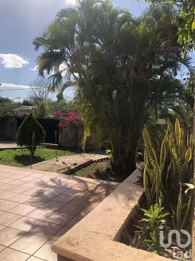 Casa en Venta en Peto Centro, Peto, Yucatán | NEX-273985 | iad México | Foto 3 de 36