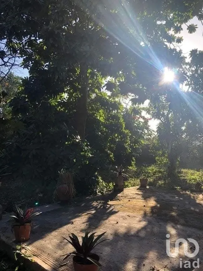 Casa en Venta en Peto Centro, Peto, Yucatán | NEX-273985 | iad México | Foto 23 de 36