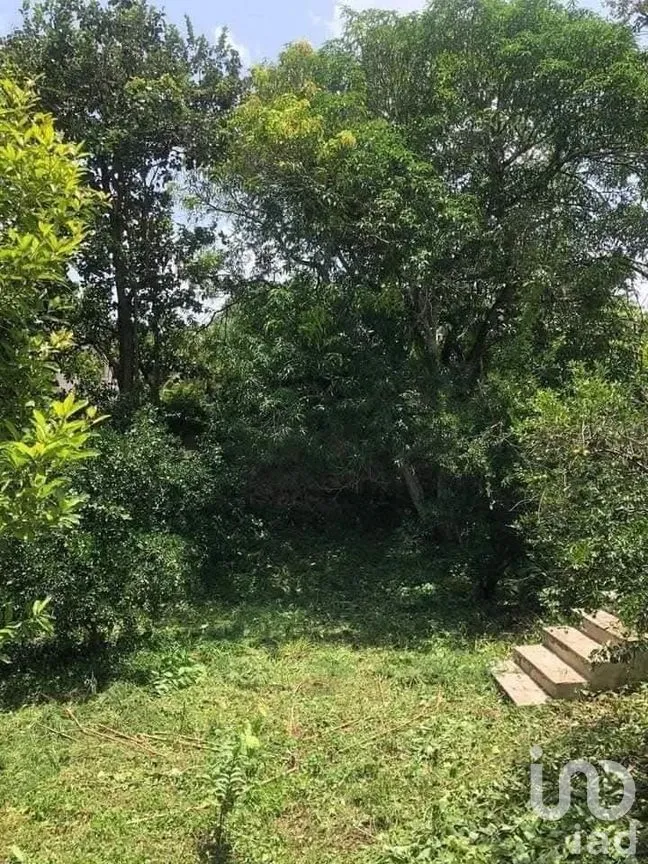 Casa en Venta en Peto Centro, Peto, Yucatán | NEX-273985 | iad México | Foto 29 de 36