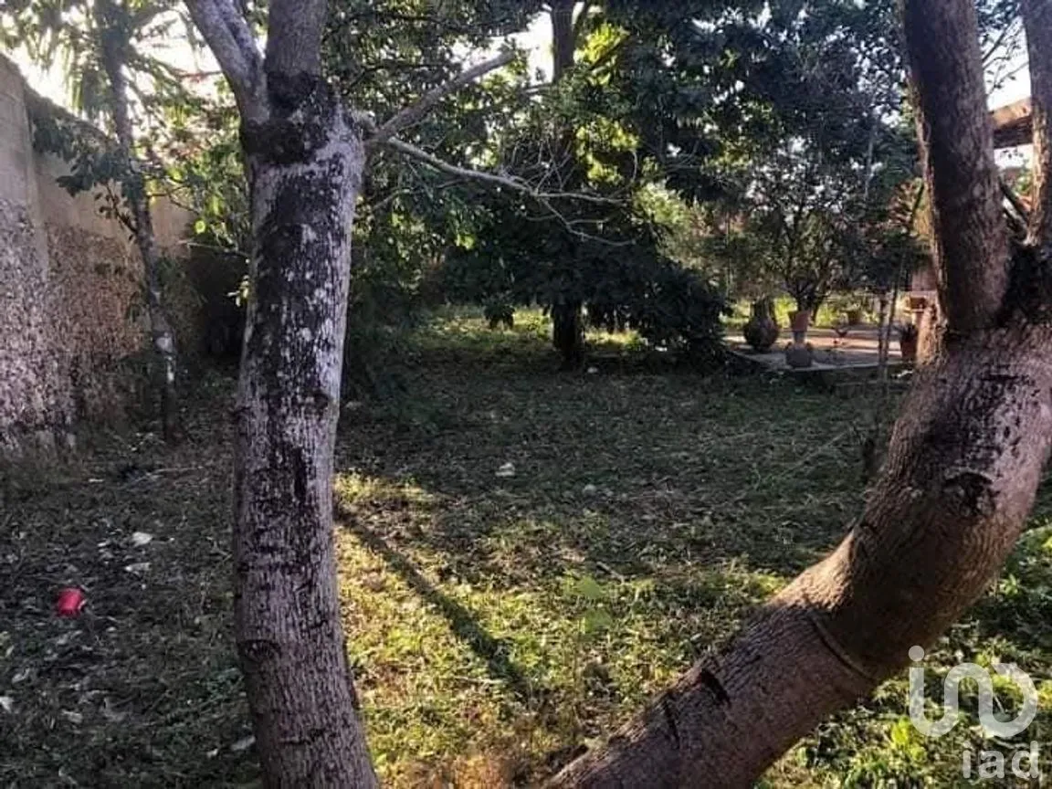 Casa en Venta en Peto Centro, Peto, Yucatán | NEX-273985 | iad México | Foto 31 de 36