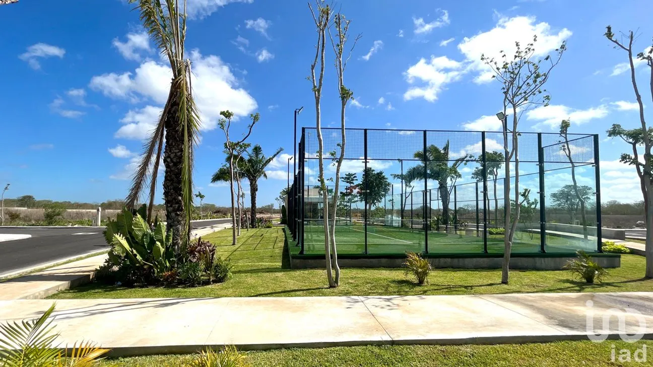 Terreno en Venta en Sitpach, Mérida, Yucatán | NEX-274018 | iad México | Foto 7 de 11
