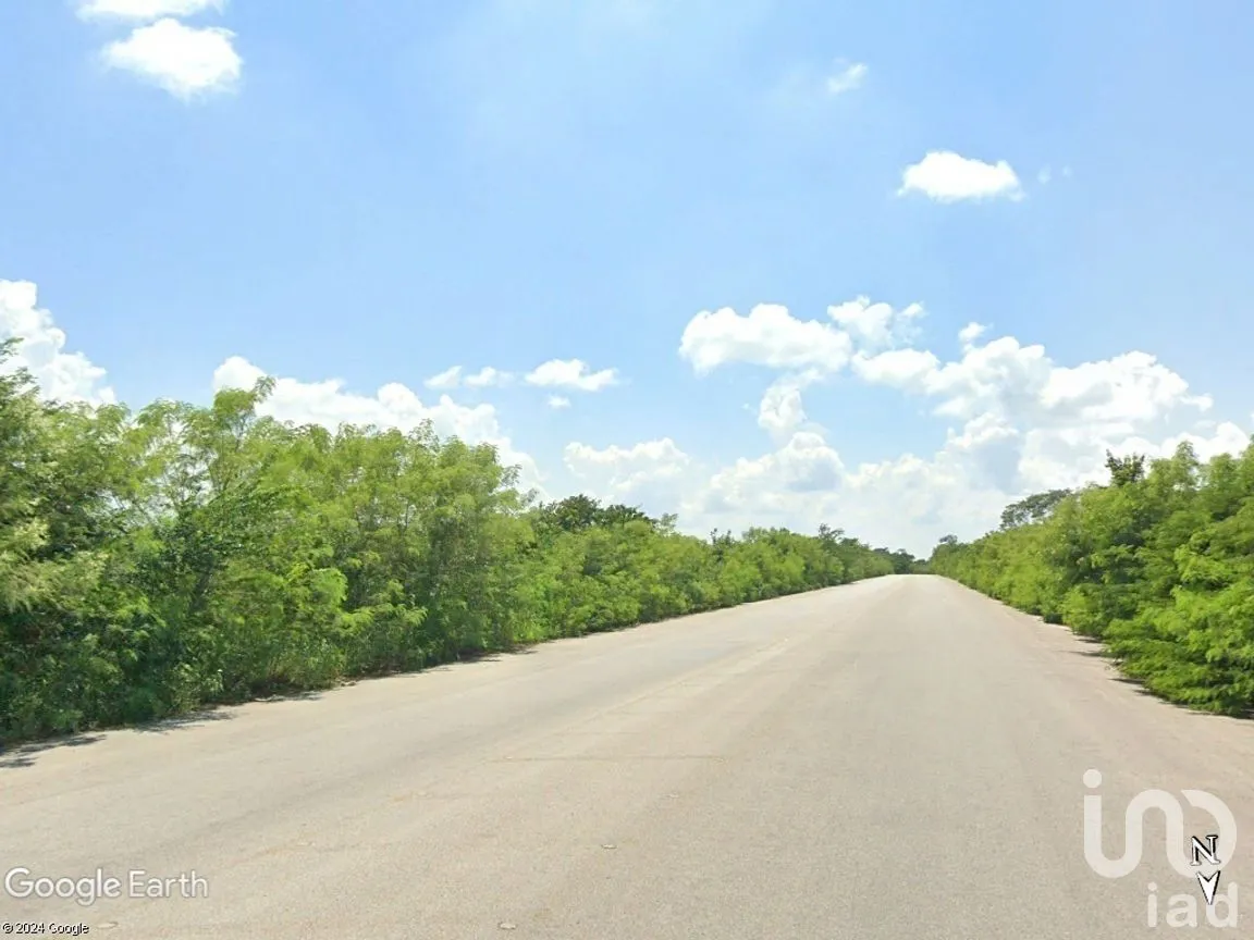 Terreno en Venta en Yalcon, Valladolid, Yucatán | NEX-274053 | iad México | Foto 3 de 3