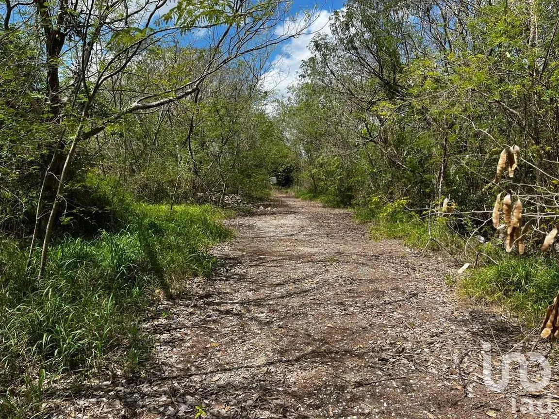 Terreno en Venta en Xcanatún, Mérida, Yucatán | NEX-274091 | iad México | Foto 2 de 15