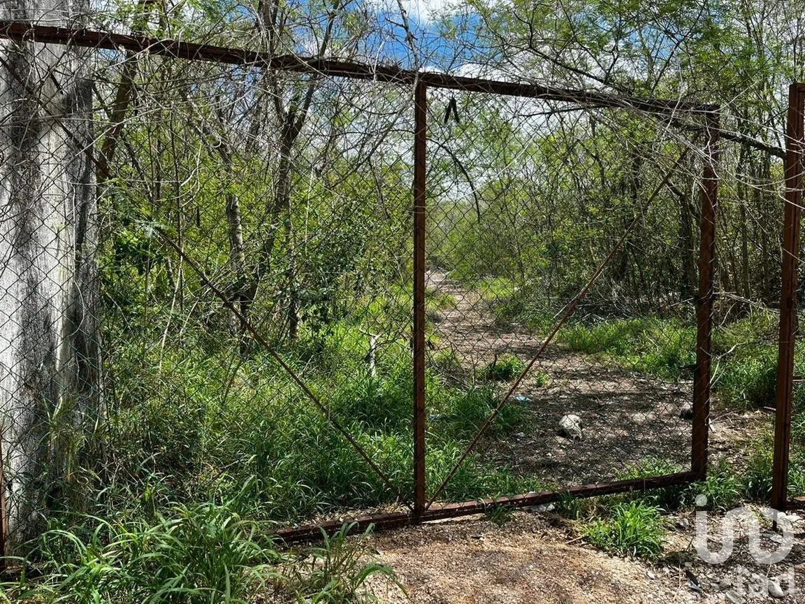 Terreno en Venta en Xcanatún, Mérida, Yucatán | NEX-274091 | iad México | Foto 11 de 15