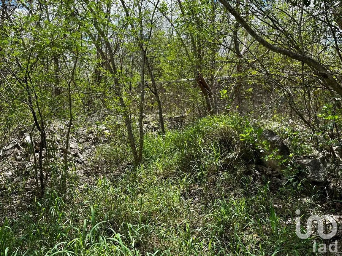 Terreno en Venta en Xcanatún, Mérida, Yucatán | NEX-274091 | iad México | Foto 3 de 15