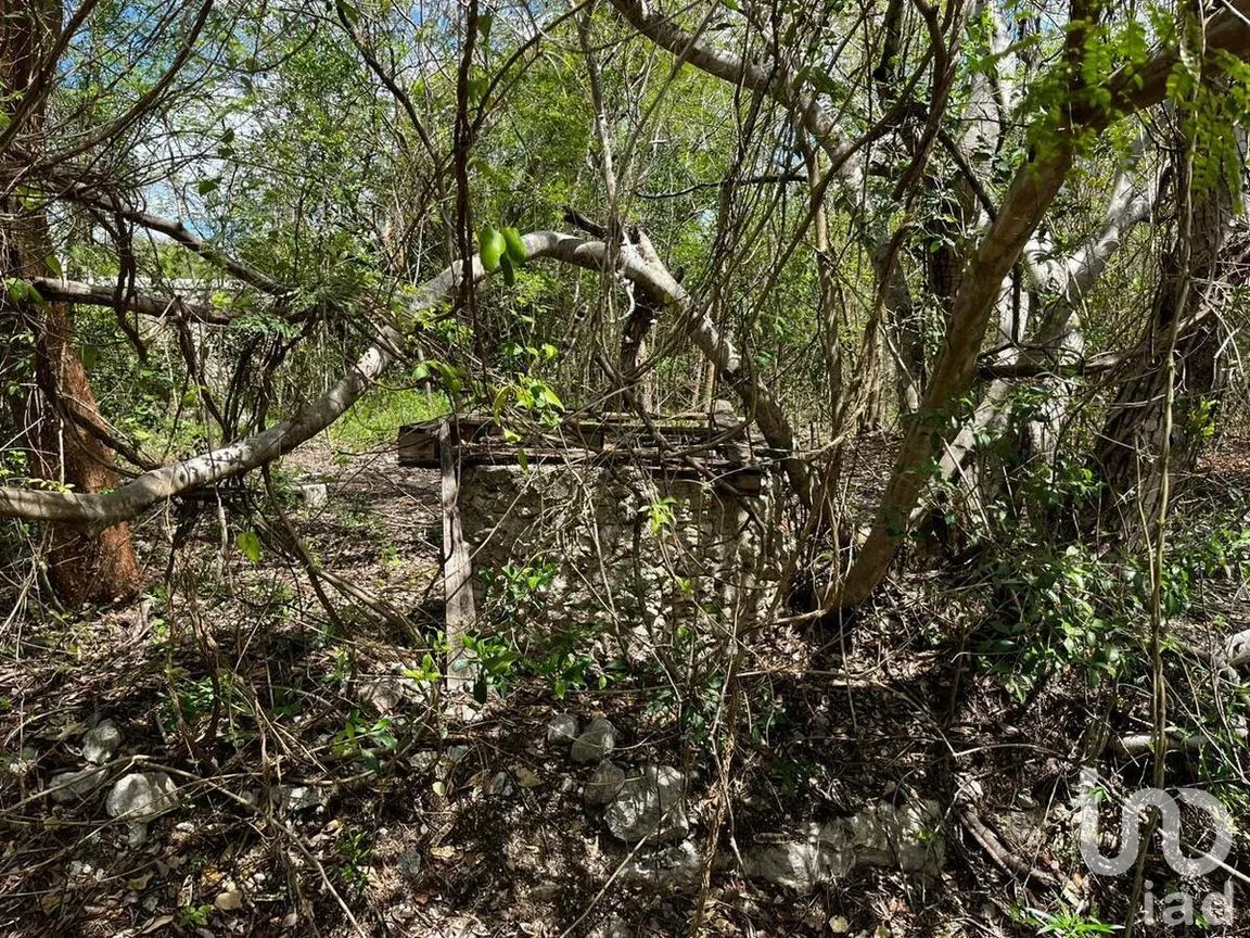 Terreno en Venta en Xcanatún, Mérida, Yucatán | NEX-274091 | iad México | Foto 5 de 15