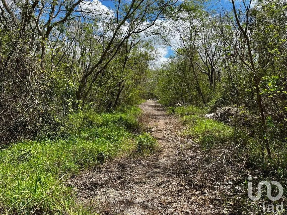 Terreno en Venta en Xcanatún, Mérida, Yucatán | NEX-274091 | iad México | Foto 6 de 15