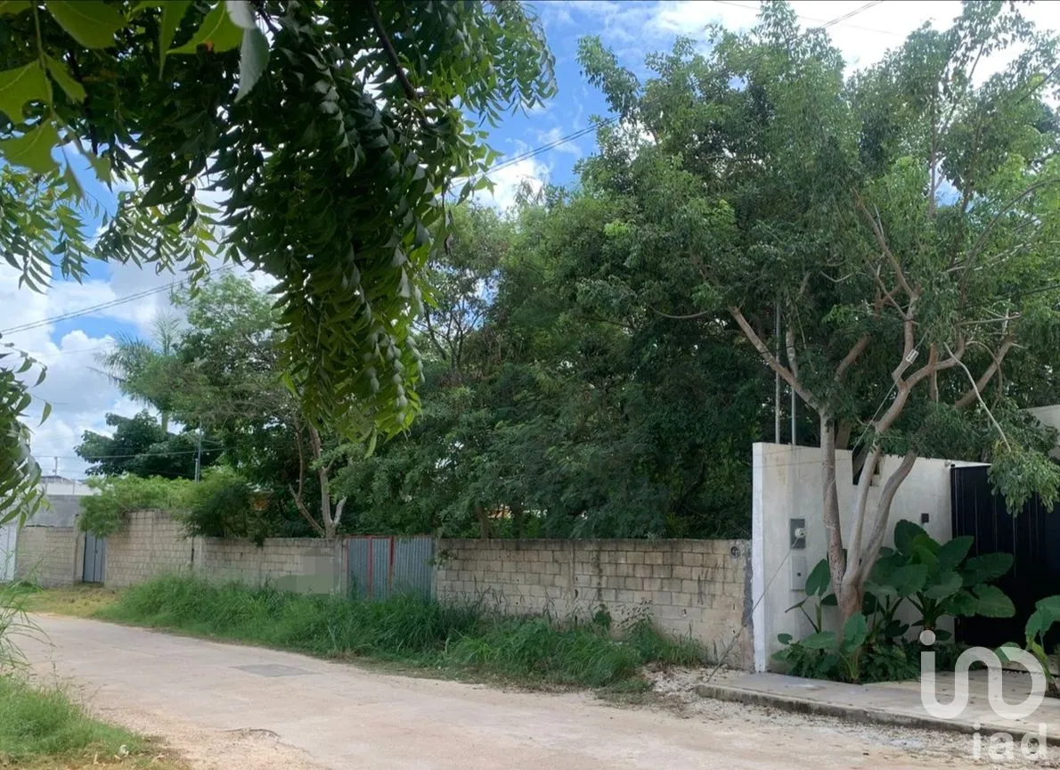 Terreno en Venta en Santa Rita Cholul, Mérida, Yucatán | NEX-274449 | iad México | Foto 3 de 6
