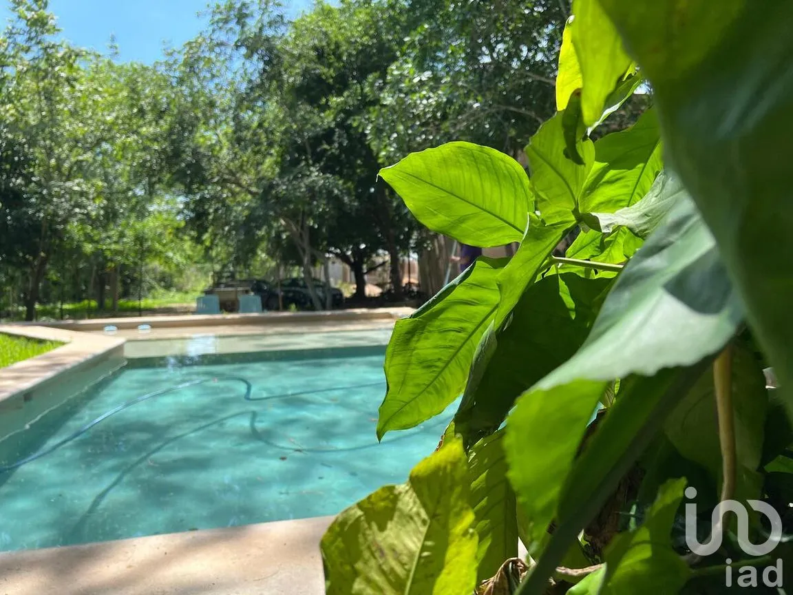 Casa en Venta en Ticopó, Acanceh, Yucatán | NEX-275170 | iad México | Foto 34 de 35