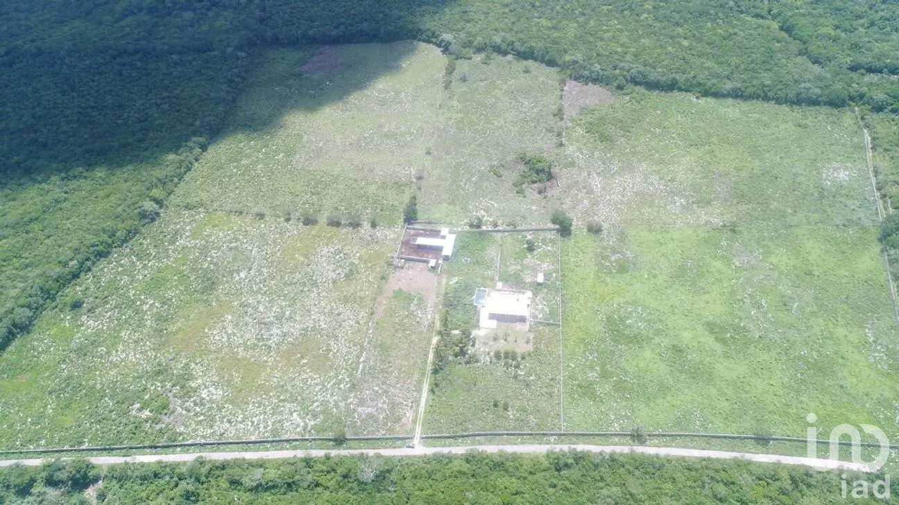 Terreno en Venta en Valladolid Centro, Valladolid, Yucatán | NEX-276086 | iad México | Foto 3 de 9