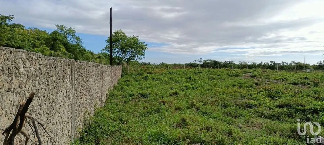 Terreno en Venta en Valladolid Centro, Valladolid, Yucatán | NEX-276086 | iad México | Foto 5 de 9