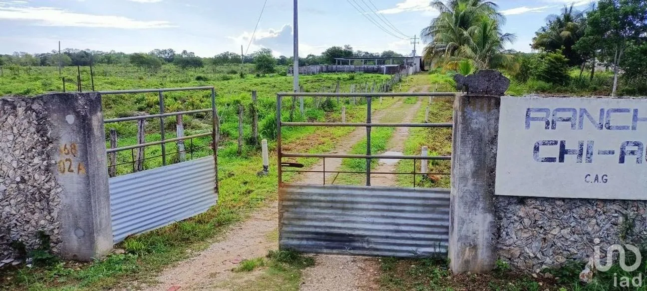 Terreno en Venta en Valladolid Centro, Valladolid, Yucatán | NEX-276086 | iad México | Foto 6 de 9