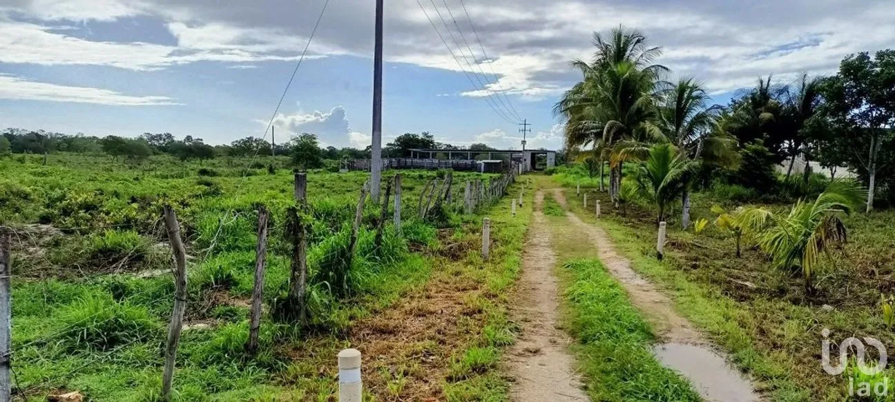 Terreno en Venta en Valladolid Centro, Valladolid, Yucatán | NEX-276086 | iad México | Foto 8 de 9