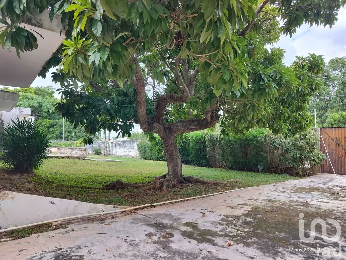 Casa en Renta en Buenavista, Mérida, Yucatán | NEX-276883 | iad México | Foto 23 de 50