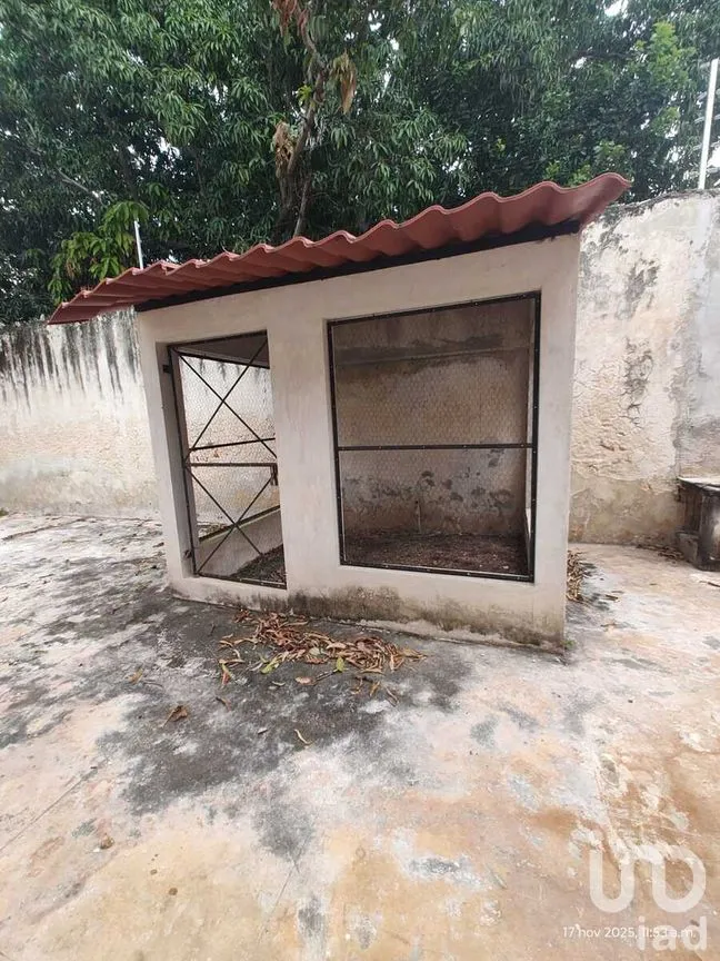 Casa en Renta en Buenavista, Mérida, Yucatán | NEX-276883 | iad México | Foto 25 de 50