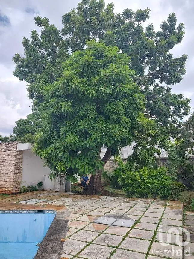 Casa en Renta en Buenavista, Mérida, Yucatán | NEX-276883 | iad México | Foto 29 de 50