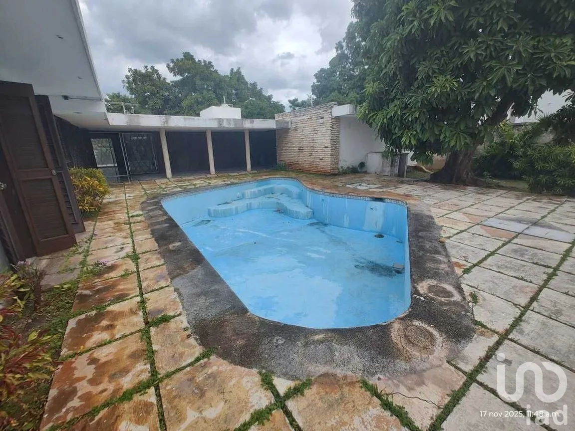 Casa en Renta en Buenavista, Mérida, Yucatán | NEX-276883 | iad México | Foto 36 de 50
