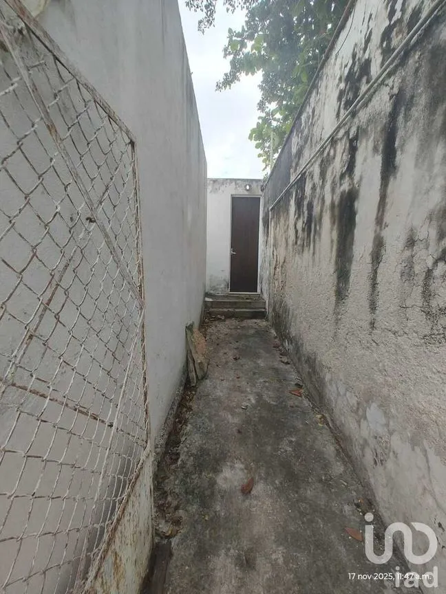 Casa en Renta en Buenavista, Mérida, Yucatán | NEX-276883 | iad México | Foto 37 de 50