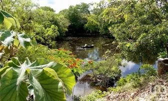 NEX-278061 - Terreno en Venta.