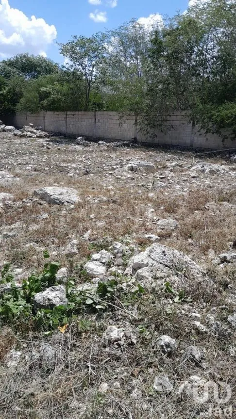 Terreno en Venta en Dzityá, Mérida, Yucatán | NEX-278264 | iad México | Foto 3 de 3
