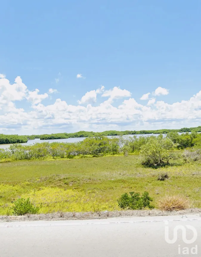 Terreno en Venta en Santa Clara, Dzidzantún, Yucatán | NEX-282697 | iad México | Foto 2 de 4