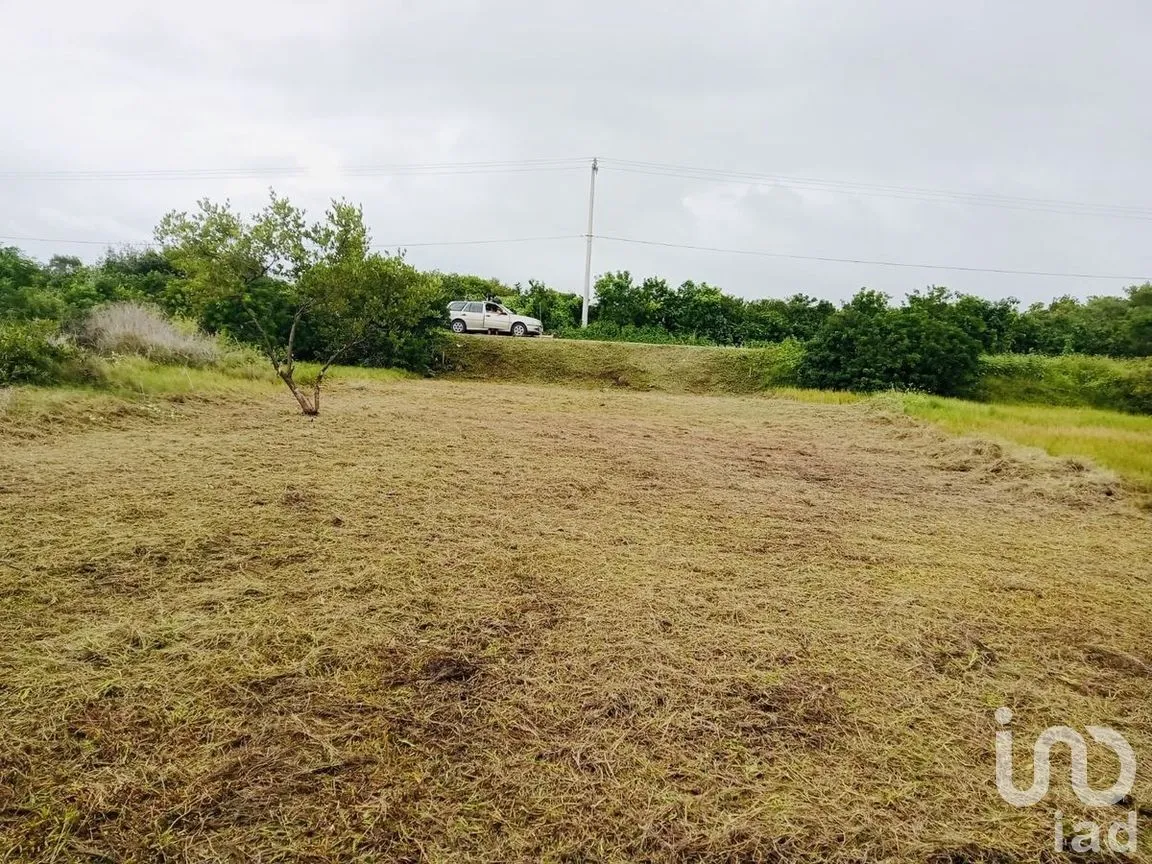 Terreno en Venta en Santa Clara, Dzidzantún, Yucatán | NEX-282697 | iad México | Foto 3 de 4