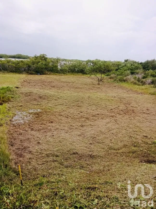 Terreno en Venta en Santa Clara, Dzidzantún, Yucatán | NEX-282697 | iad México | Foto 4 de 4