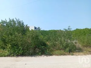 NEX-284419 - Terreno en Venta en Sisal, CP 97356, Yucatán.