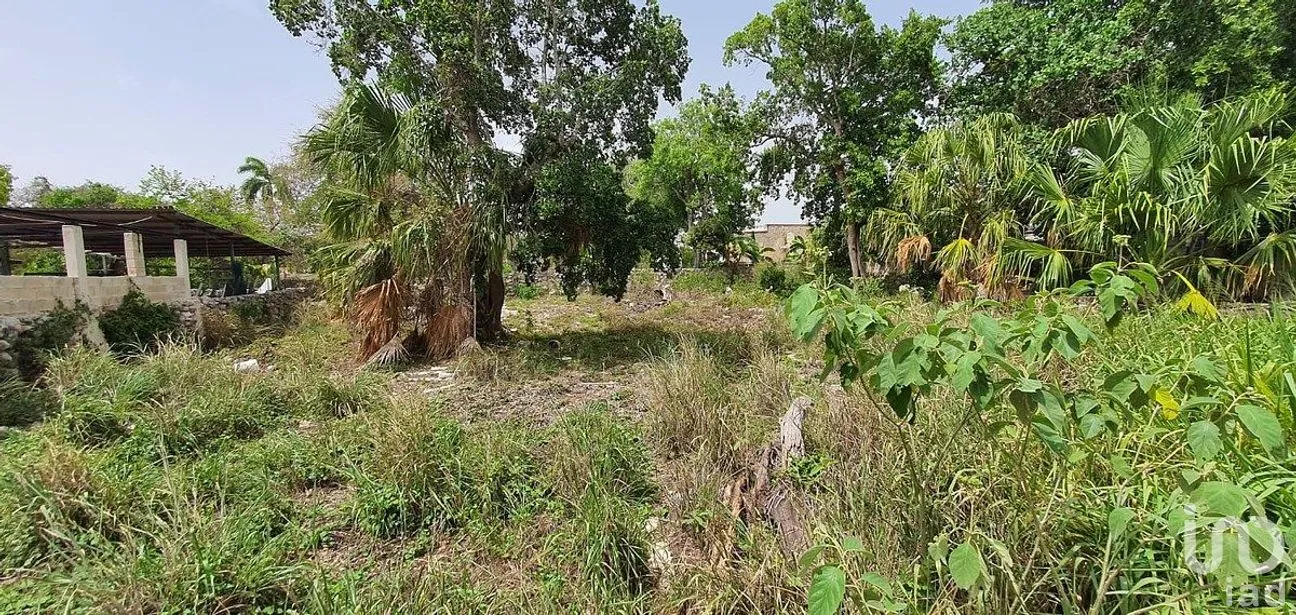 Terreno en Venta en Mérida Centro, Mérida, Yucatán | NEX-285138 | iad México | Foto 3 de 7