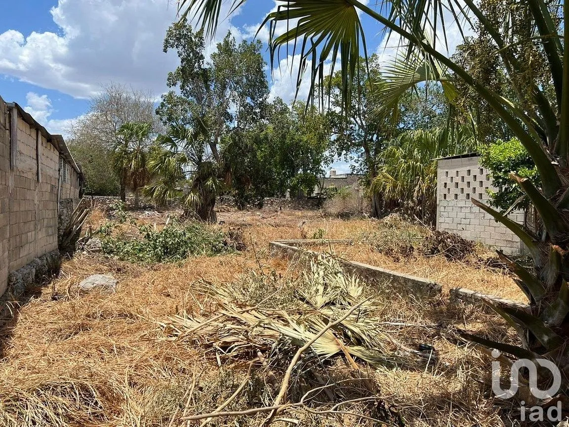 Terreno en Venta en Mérida Centro, Mérida, Yucatán | NEX-285138 | iad México | Foto 5 de 7