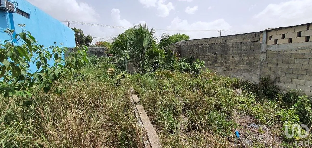 Terreno en Venta en Mérida Centro, Mérida, Yucatán | NEX-285138 | iad México | Foto 6 de 7