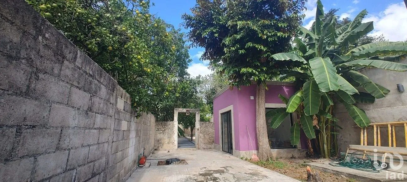 Casa en Venta en Mérida Centro, Mérida, Yucatán | NEX-288952 | iad México | Foto 17 de 31