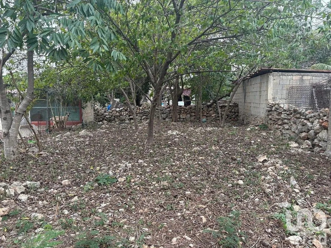 Casa en Venta en Plan de Ayala Sur, Mérida, Yucatán | NEX-290230 | iad México | Foto 11 de 16