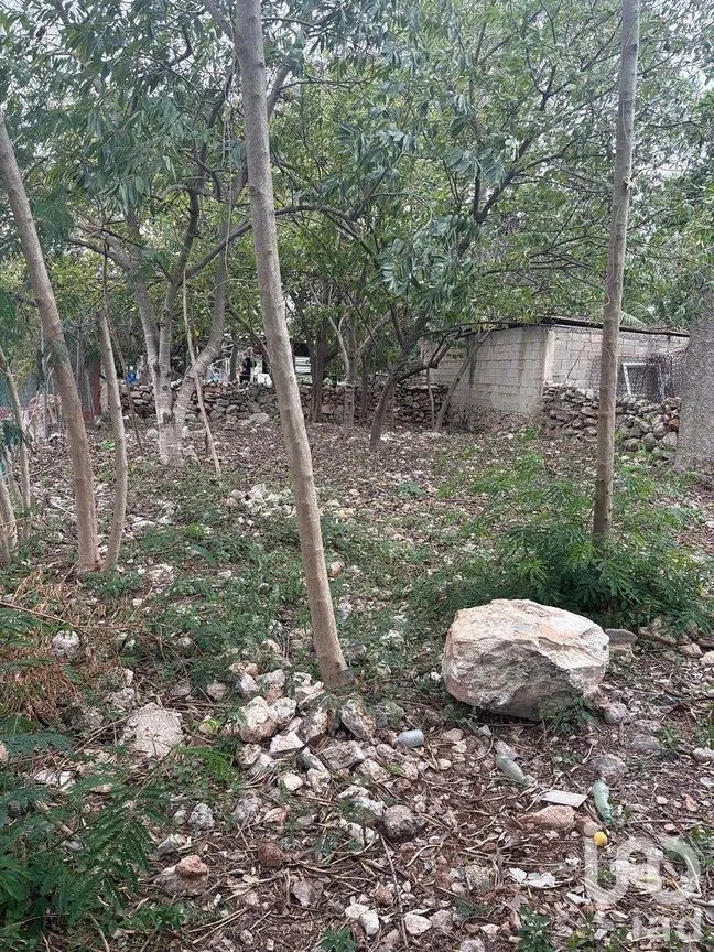 Casa en Venta en Plan de Ayala Sur, Mérida, Yucatán | NEX-290230 | iad México | Foto 12 de 16