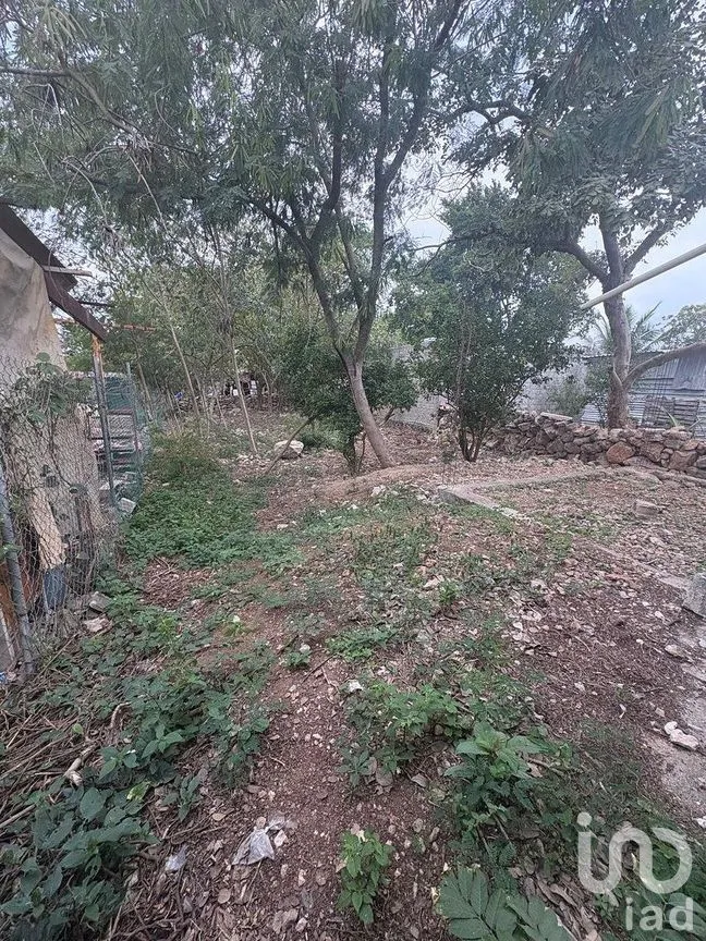 Casa en Venta en Plan de Ayala Sur, Mérida, Yucatán | NEX-290230 | iad México | Foto 13 de 16