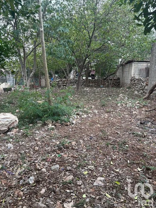 Casa en Venta en Plan de Ayala Sur, Mérida, Yucatán | NEX-290230 | iad México | Foto 15 de 16