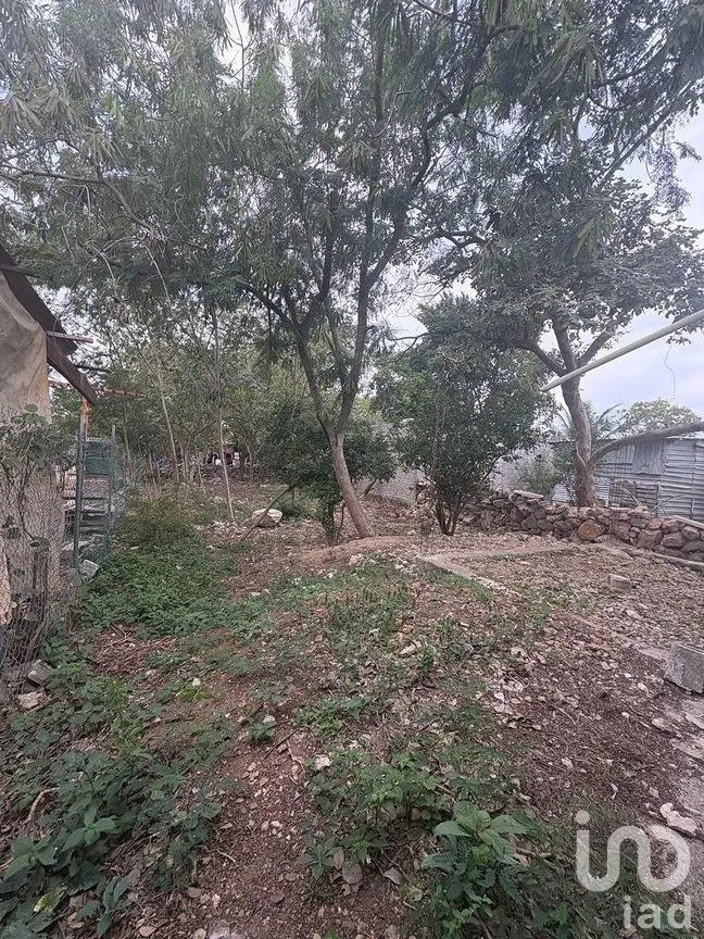 Casa en Venta en Plan de Ayala Sur, Mérida, Yucatán | NEX-290230 | iad México | Foto 10 de 16
