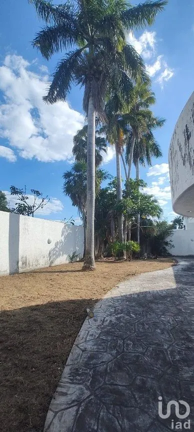 Casa en Renta en México Norte, Mérida, Yucatán | NEX-290432 | iad México | Foto 37 de 40