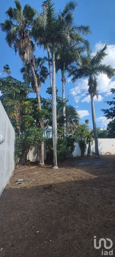 Casa en Renta en México Norte, Mérida, Yucatán | NEX-290432 | iad México | Foto 38 de 40