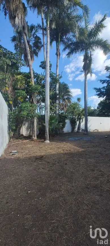 Casa en Renta en México Norte, Mérida, Yucatán | NEX-290432 | iad México | Foto 40 de 40