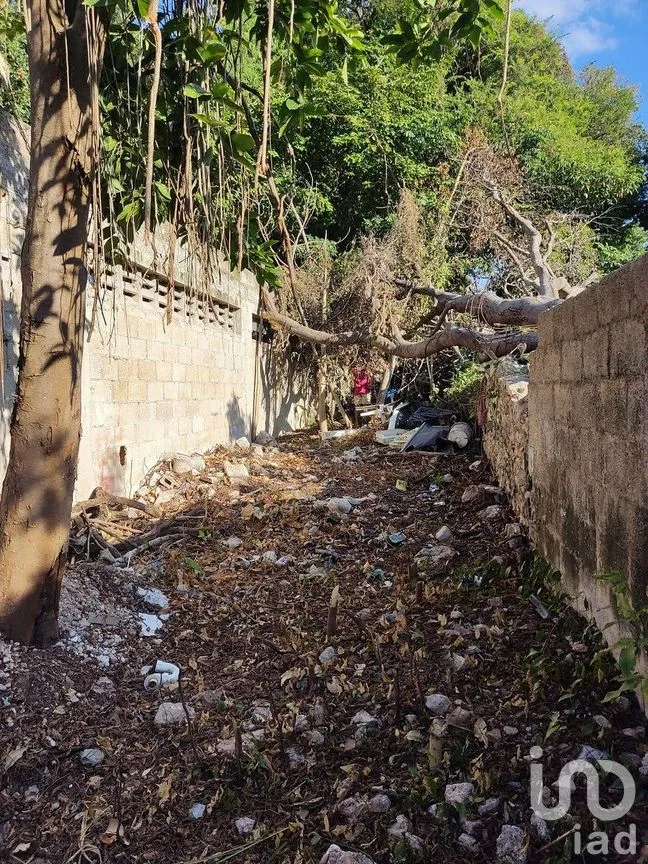 Casa en Venta en Mérida Centro, Mérida, Yucatán | NEX-292312 | iad México | Foto 3 de 4