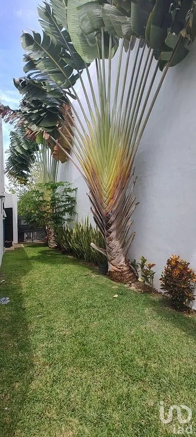 Casa en Venta en Conkal, Conkal, Yucatán | NEX-294693 | iad México | Foto 3 de 20
