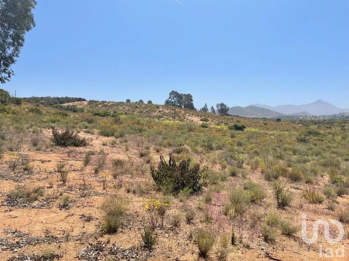 Terreno en Venta en Popular 89, Ensenada, Baja California | NEX-231691 | iad México | Foto 3 de 3