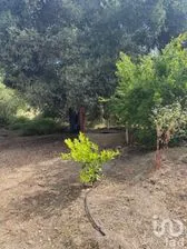 NEX-231691 - Terreno en Venta en Popular 89, CP 22812, Baja California.